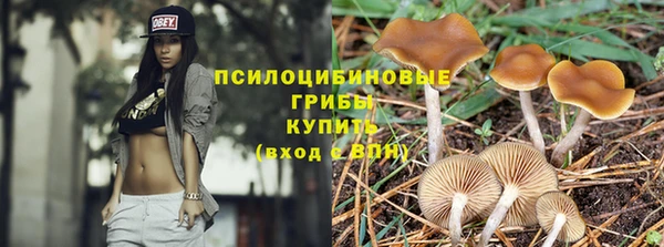 ALPHA-PVP Верея